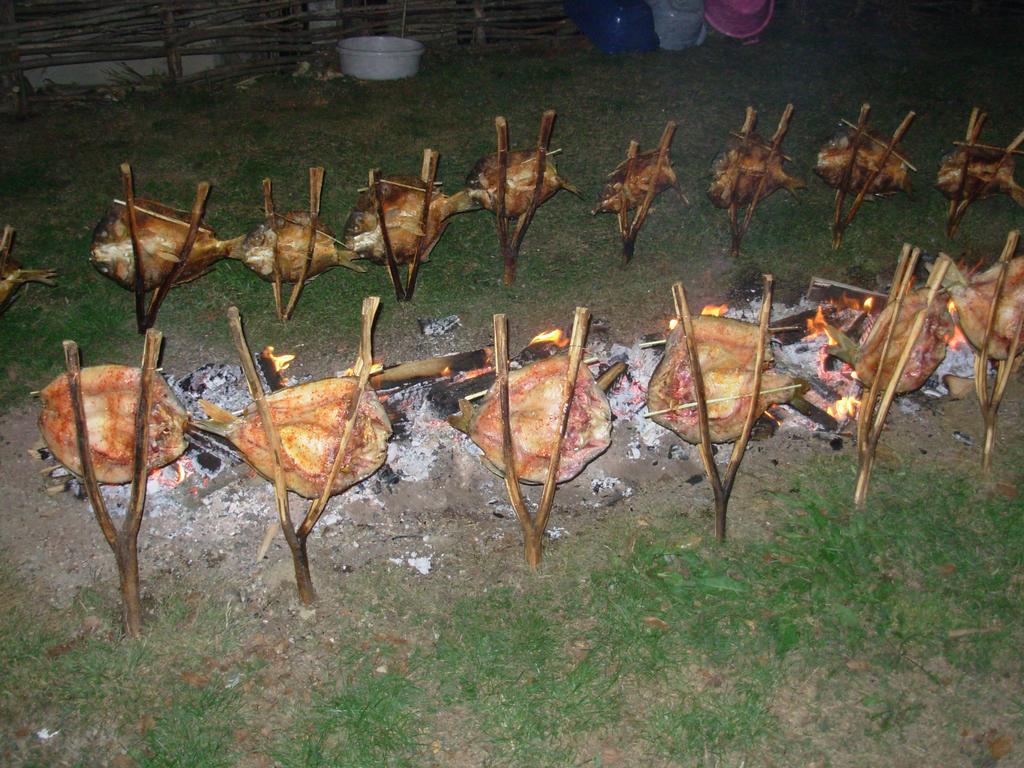 Tradicije Cigoc Ξενοδοχείο Εξωτερικό φωτογραφία